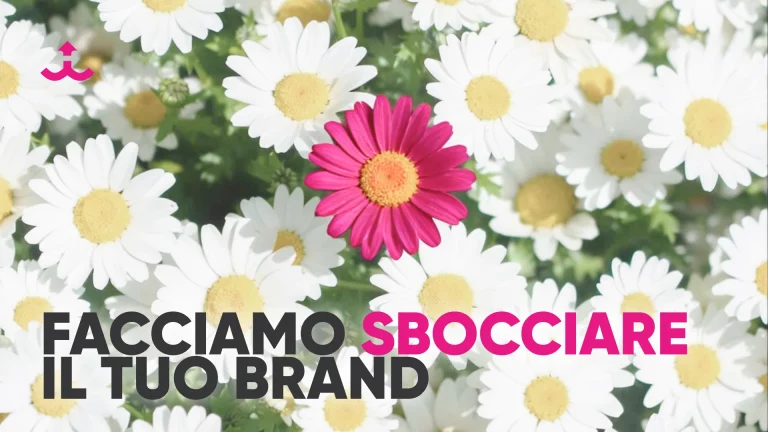 Come far rifiorire il tuo brand con iprov digitale agency